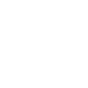 duos icon